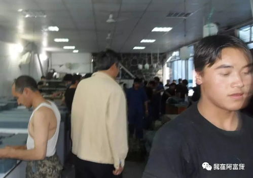 阿富汗各種原料充足,只是缺乏生產(chǎn)技術(shù)和工藝與阿富汗工人的工資與福利