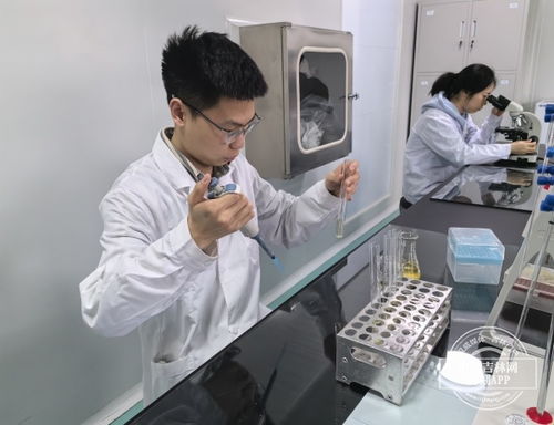 加快發(fā)展新質(zhì)生產(chǎn)力 吉林一線觀察 之新動(dòng)能 新產(chǎn)業(yè) 吉原生物公司 創(chuàng)新升級(jí) 水凝膠材料的領(lǐng)跑者